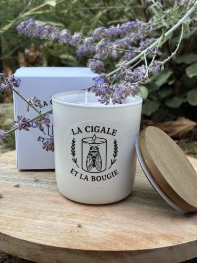 Lavanda de Provença
